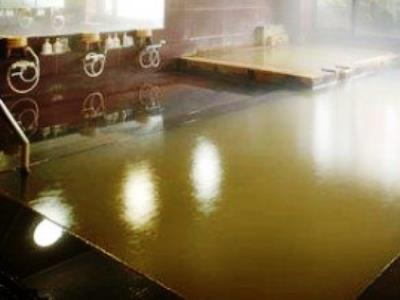 Hotel Tsukagoshiya Shibukawa Zewnętrze zdjęcie